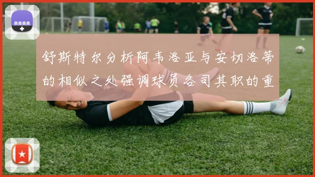 舒斯特尔分析阿韦洛亚与安切洛蒂的相似之处强调球员各司其职的重要性